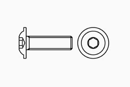 SCREW WITH FLANGE HEAD & HEX SOCKET